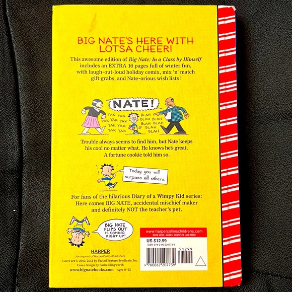 Big Nate in a class by himself book hardback Special Edition - Picture 2 of 2